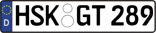 HSK-GT289