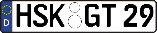 HSK-GT29