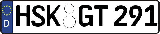 HSK-GT291