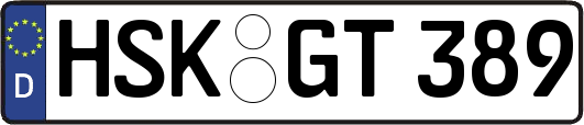 HSK-GT389