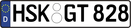 HSK-GT828