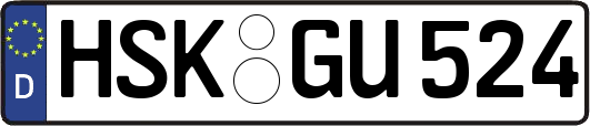 HSK-GU524