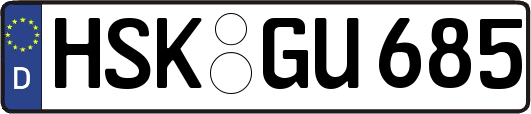 HSK-GU685