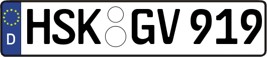 HSK-GV919