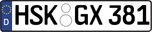 HSK-GX381