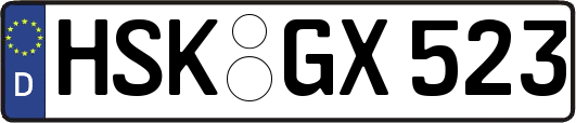 HSK-GX523