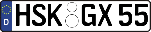 HSK-GX55