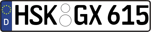 HSK-GX615