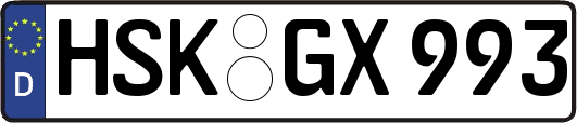 HSK-GX993
