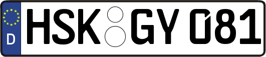 HSK-GY081