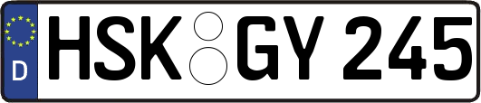 HSK-GY245