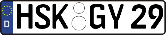 HSK-GY29