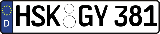 HSK-GY381