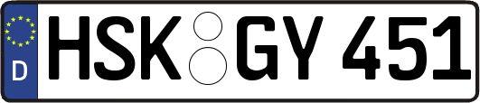 HSK-GY451