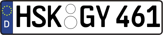 HSK-GY461