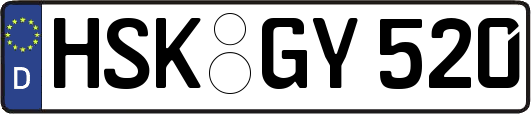 HSK-GY520