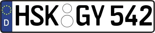 HSK-GY542