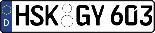 HSK-GY603