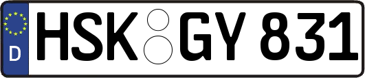 HSK-GY831