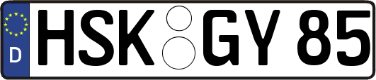 HSK-GY85