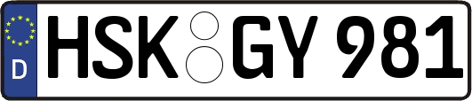HSK-GY981