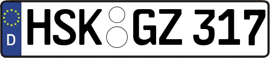 HSK-GZ317