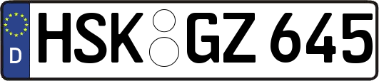 HSK-GZ645