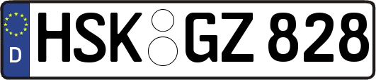 HSK-GZ828