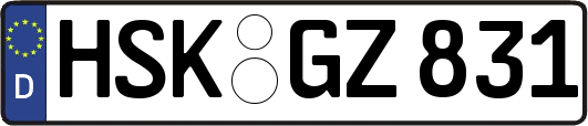 HSK-GZ831