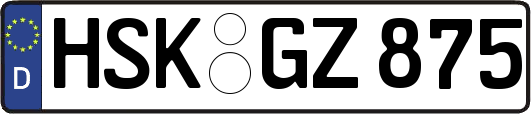 HSK-GZ875