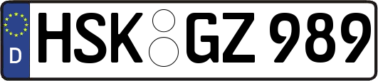 HSK-GZ989
