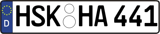 HSK-HA441