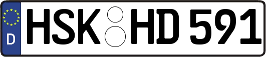 HSK-HD591