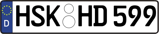HSK-HD599