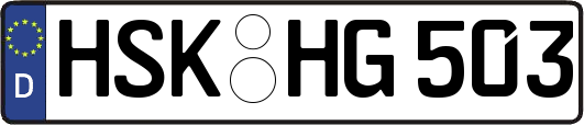 HSK-HG503
