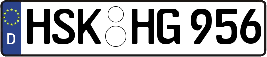HSK-HG956