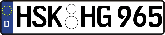 HSK-HG965