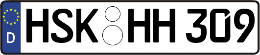 HSK-HH309