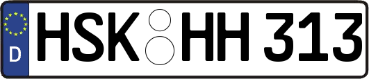 HSK-HH313