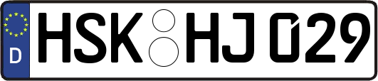 HSK-HJ029