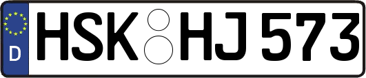 HSK-HJ573
