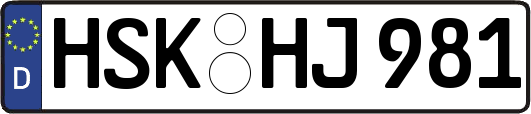 HSK-HJ981