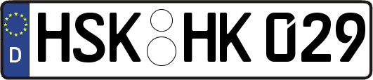 HSK-HK029