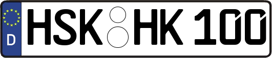 HSK-HK100