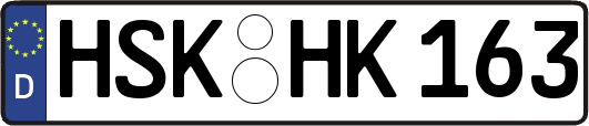 HSK-HK163