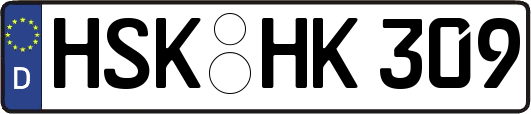 HSK-HK309