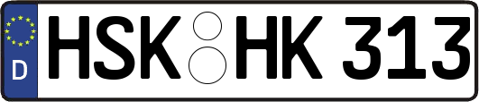 HSK-HK313