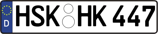 HSK-HK447