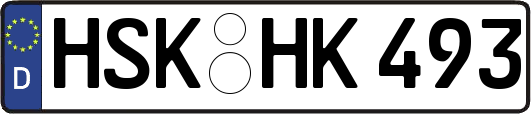 HSK-HK493