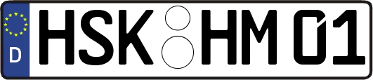 HSK-HM01